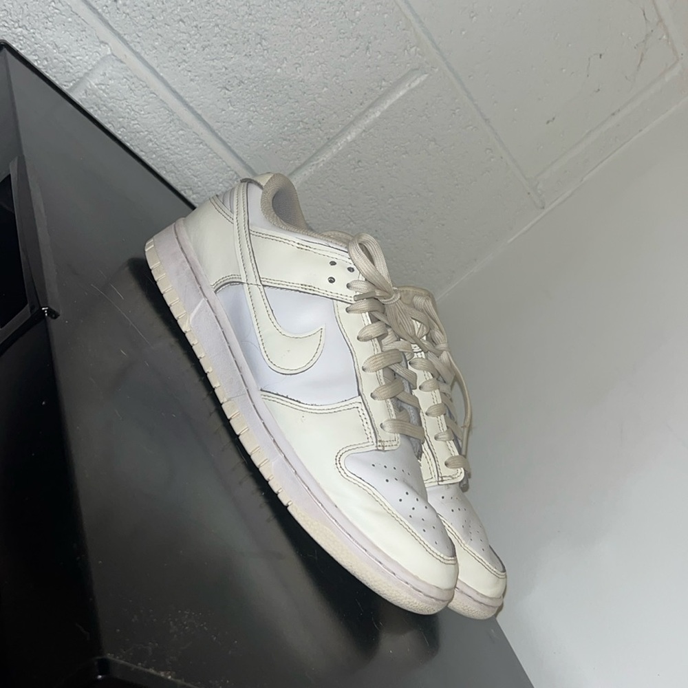 nike dunks